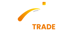 Dingwani Global Trade Logo